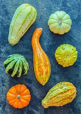 Assortment of Gourds