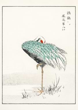 Japanese Resting Crane Illustration