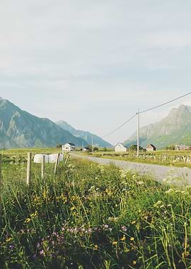 Country Road in Mountains