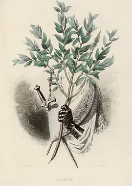 Laurel Branch with Sword