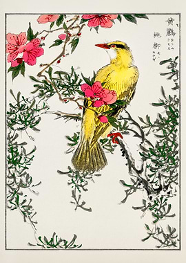 Japanese yellow Bird Painting