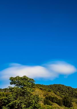 Blue Sky with Clouds and Trees