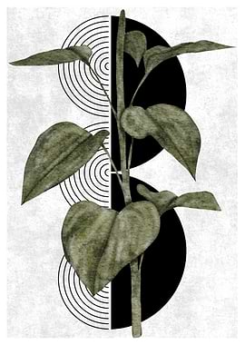 Green Plant with Black Circles