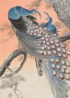 Peacocks on a Branch