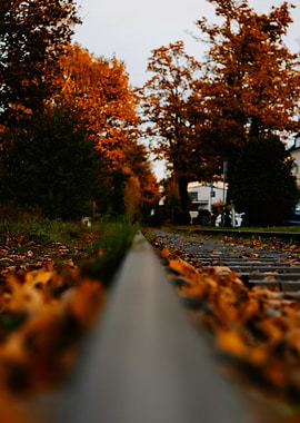 Autumn Train Tracks