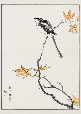 Minimalistic Bird on Branch with Autumn Leaves