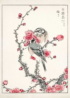 Birds on Plum Blossom Branch