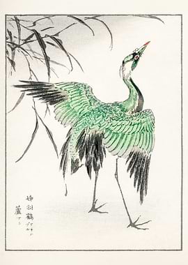 Japanese Crane Illustration