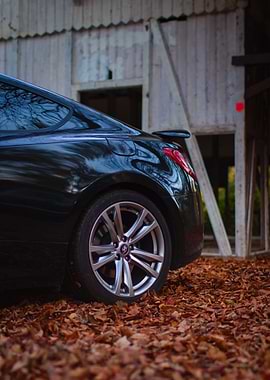 Black Coupe with Silver Rims