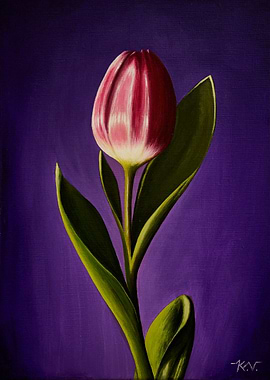 Single Tulip Painting