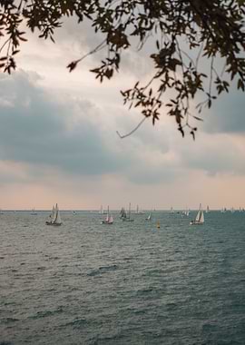Sailboats at the Trieste Regatta