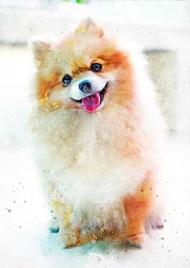 Smiling Pomeranian Watercolor