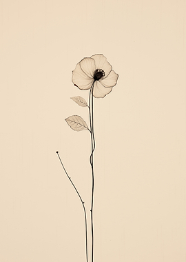 Single Flower Illustration