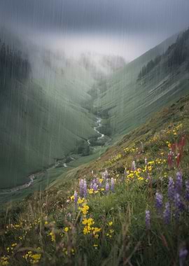 Rainy Mountain Valley