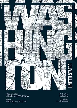 Washington DC Map Art