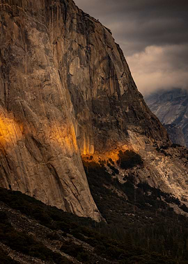 Golden Light yosemite
