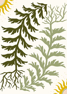 Green Fern Illustration