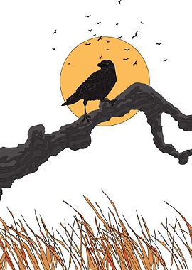 Crow on Branch with Sunset