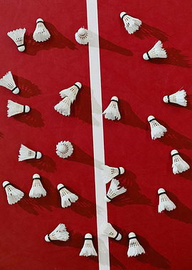 Badminton Shuttlecocks