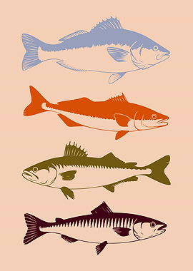 Vintage Fish Illustration Print