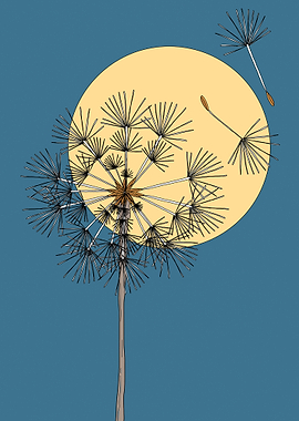 Dandelion Seeds