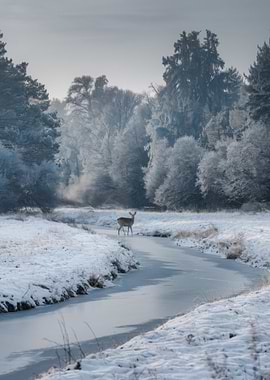 Deer in Winter Wonderland