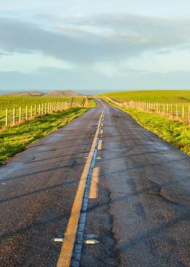 Empty Country Road
