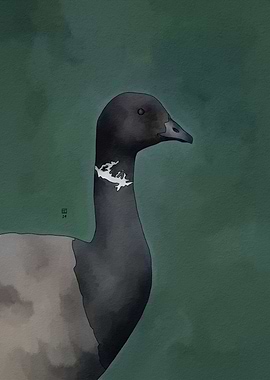 Brant Goose Portrait