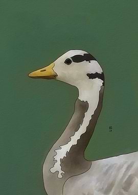 Bar-headed Goose Portrait