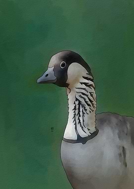 Nene Goose Portrait