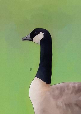 Cackling Goose Portrait