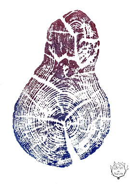 Empreinte Bleu Violet