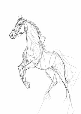 Horse Sketch
