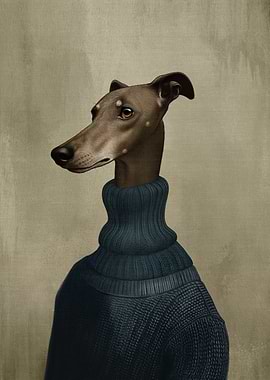 Greyhound in Sweater