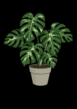 Monstera Plant Illustration