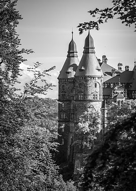Castle Ksiaz, Walbrzych, Towers Through Trees