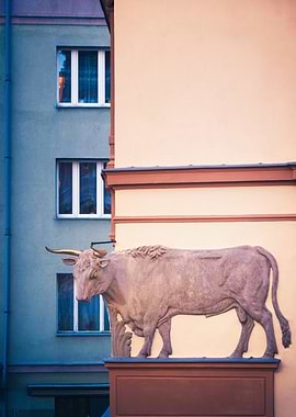 Bull Sculpture on Building