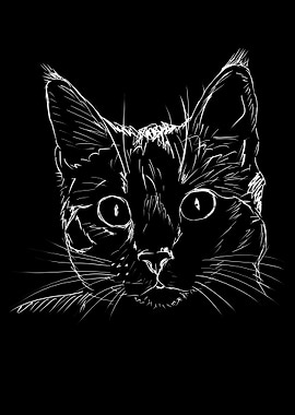 Cat Sketch
