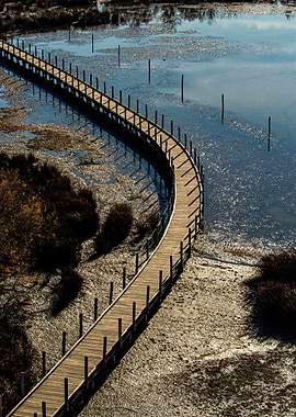 Wooden Walkway Over Water