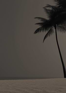 Palm Tree Silhouette