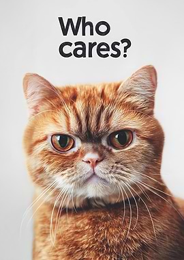 Cat with 'Who Cares?' Text