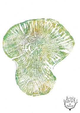 Green Watercolor Tree Ring