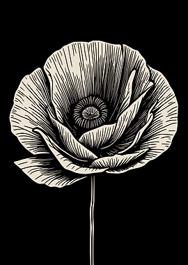 Vintage Botanical Poppy Flower Print in Black and White
