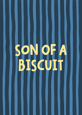 Son of a biscuit funny kitchen stripe art