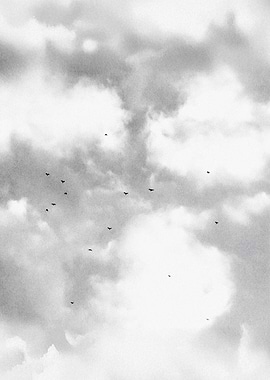 Birds in Cloudy Sky