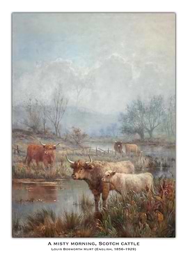 Misty Morning, Scotch Cattle