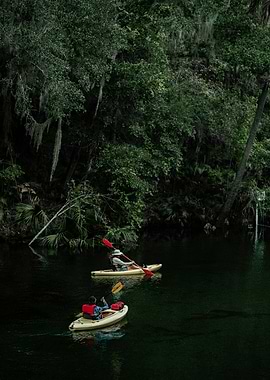 Kayaking in Lush Forest