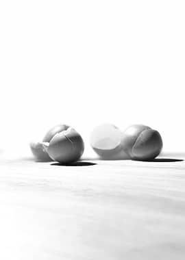 Fragile Echoes – A Study in Light and Texture