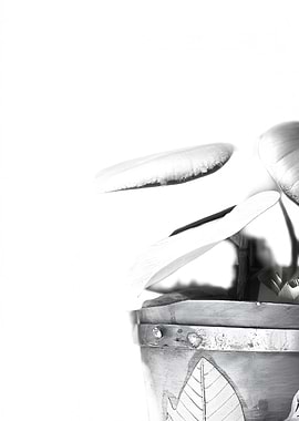 Fading Form – A Botanical Impression