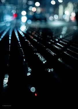 Rainy Night City Lights